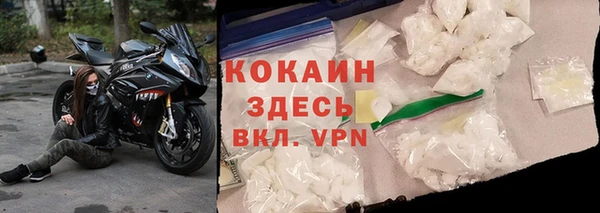прущие грибы Белокуриха