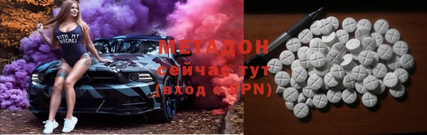 прущие грибы Белокуриха
