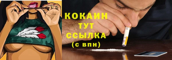 молекула духа Осташков