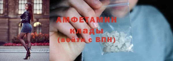 прущие грибы Белокуриха